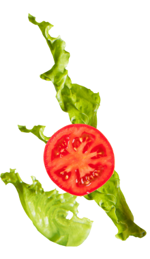 lettuce_tomato@2x-min.png